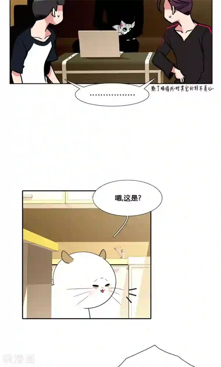 ICE-Cold要员的捡猫事件第92话