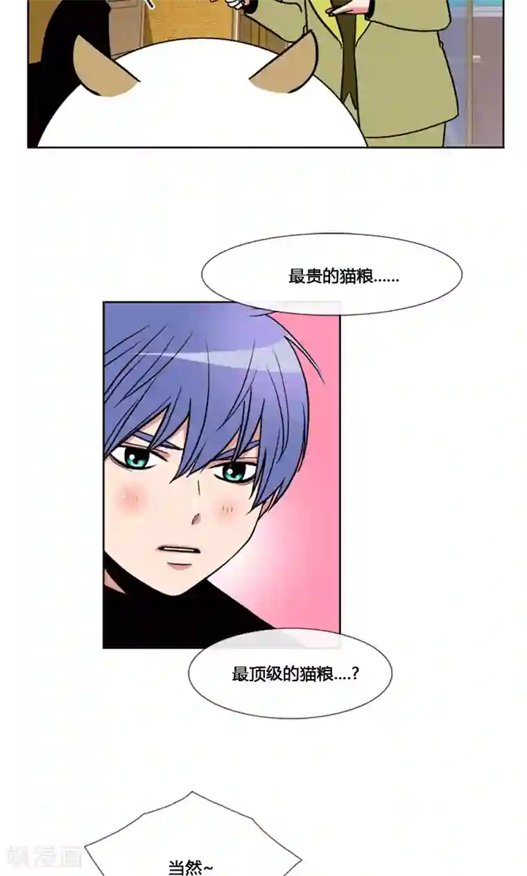 ICE-Cold要员的捡猫事件第92话