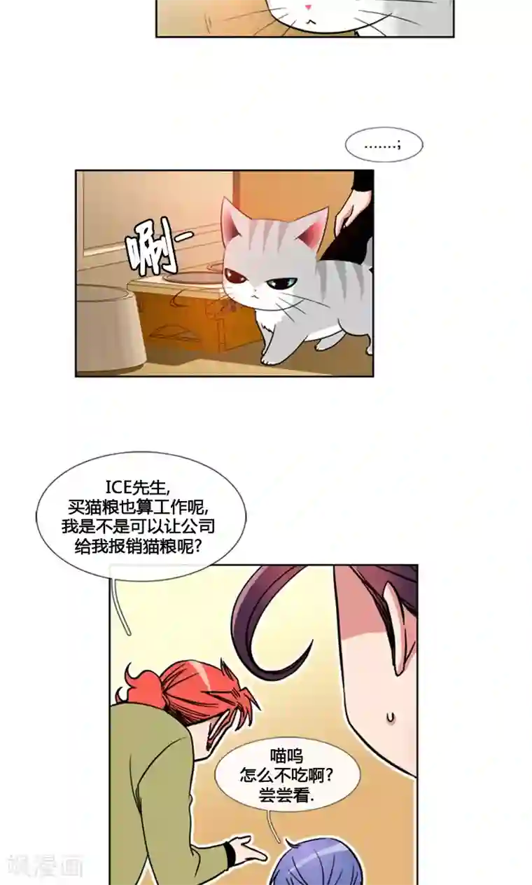 ICE-Cold要员的捡猫事件第92话