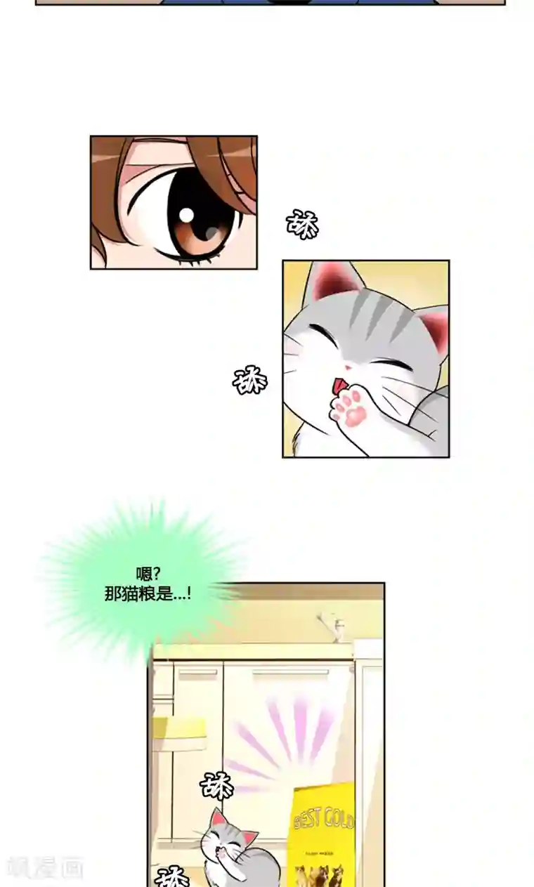 ICE-Cold要员的捡猫事件第92话