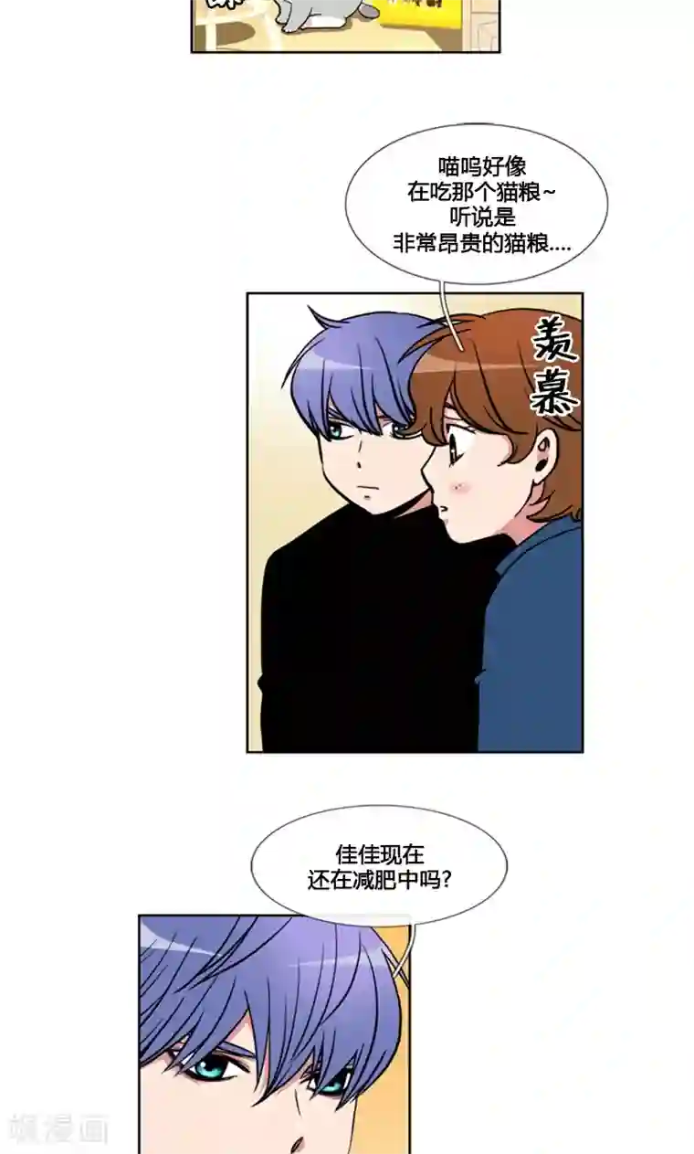 ICE-Cold要员的捡猫事件第92话