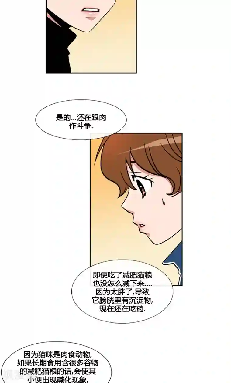 ICE-Cold要员的捡猫事件第92话