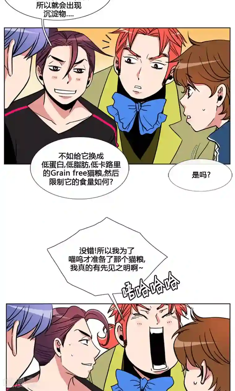 ICE-Cold要员的捡猫事件第92话