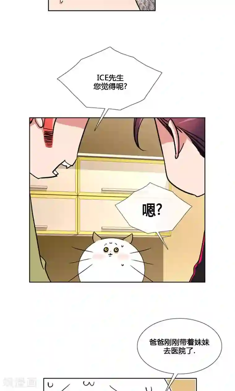 ICE-Cold要员的捡猫事件第93话