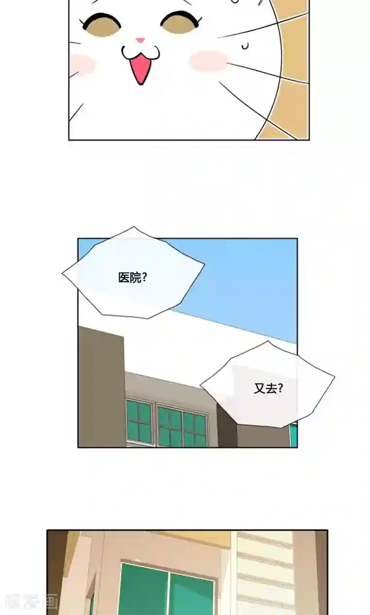 ICE-Cold要员的捡猫事件第93话