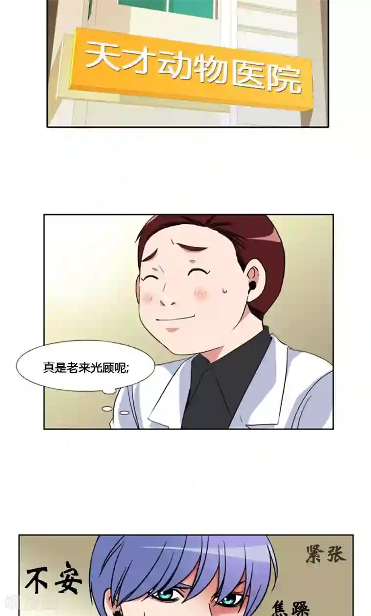 ICE-Cold要员的捡猫事件第93话