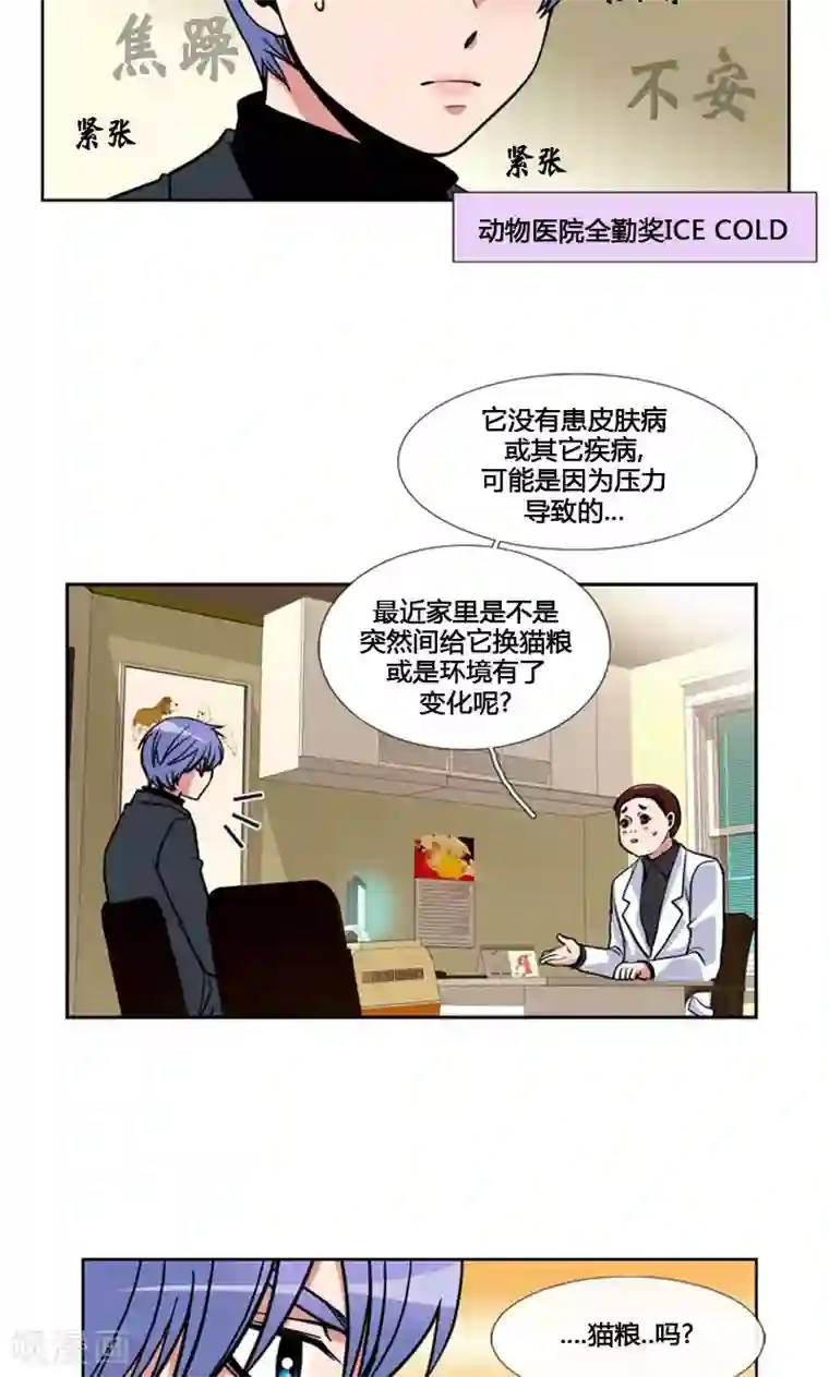 ICE-Cold要员的捡猫事件第93话