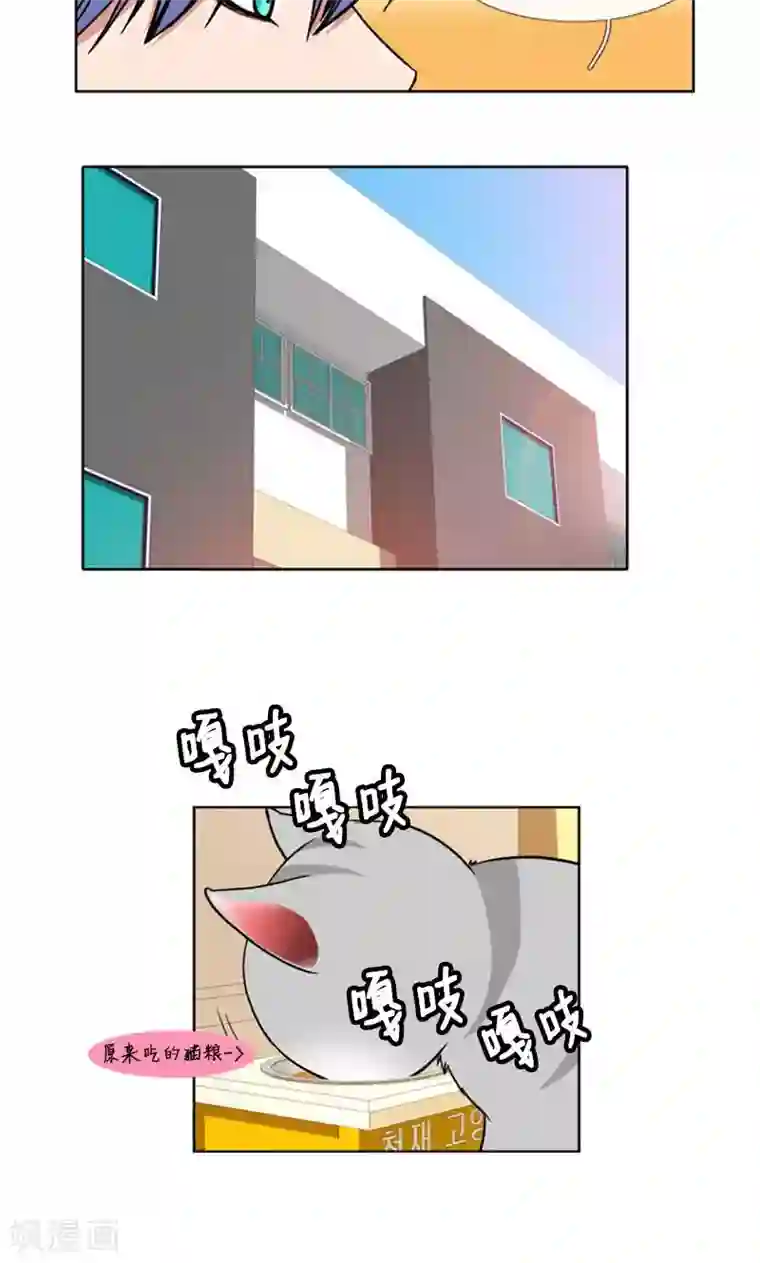 ICE-Cold要员的捡猫事件第93话