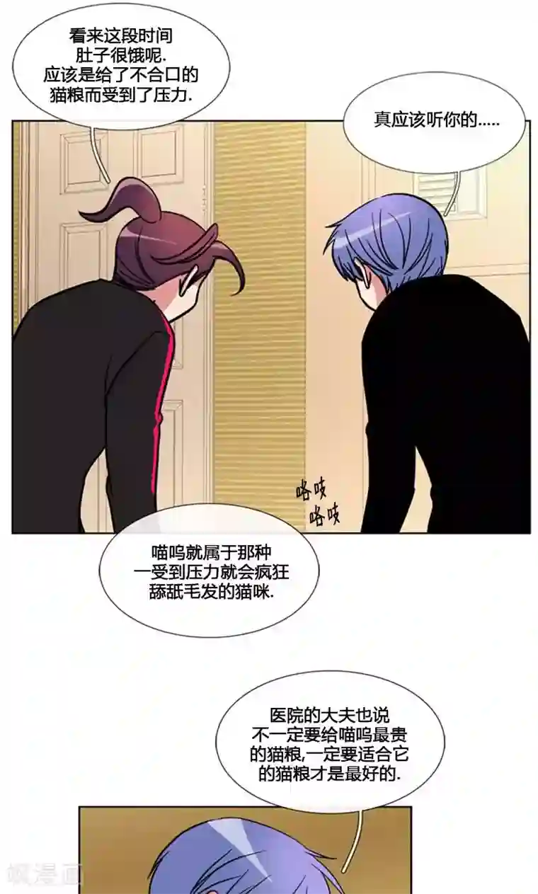 ICE-Cold要员的捡猫事件第93话