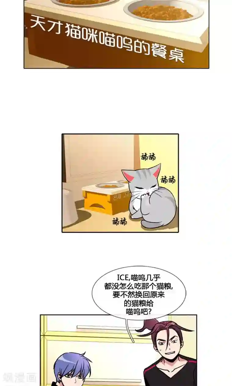 ICE-Cold要员的捡猫事件第93话
