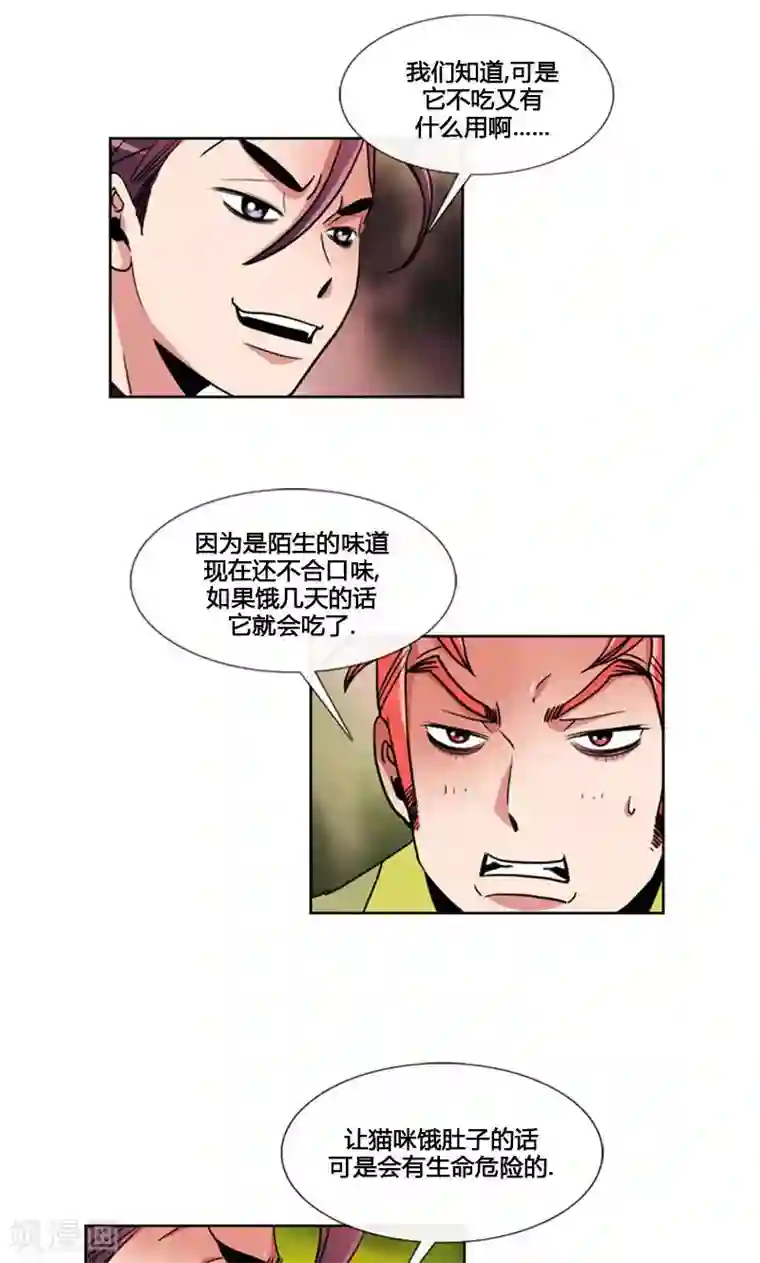 ICE-Cold要员的捡猫事件第93话