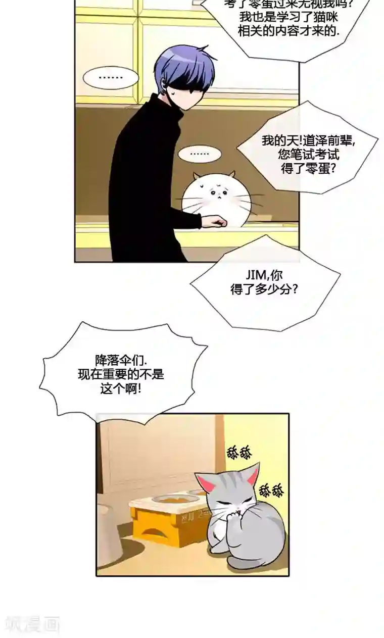 ICE-Cold要员的捡猫事件第93话
