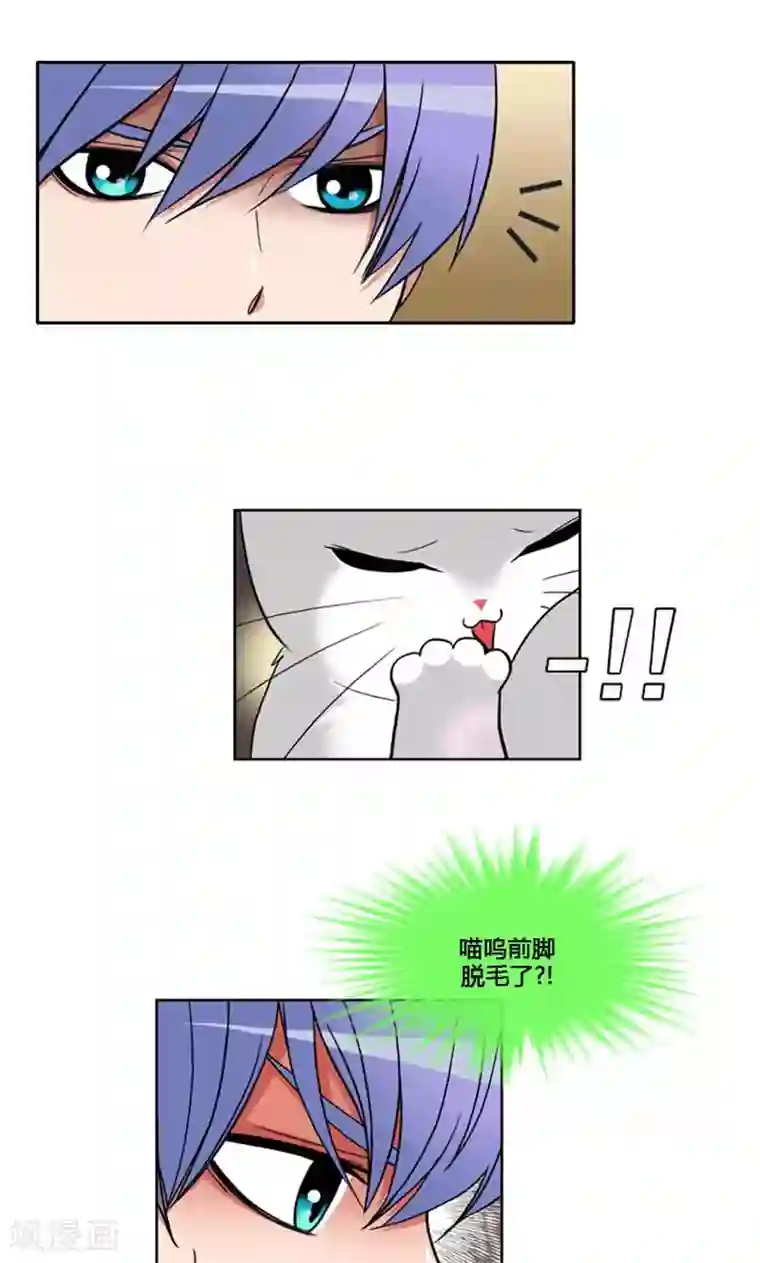 ICE-Cold要员的捡猫事件第93话