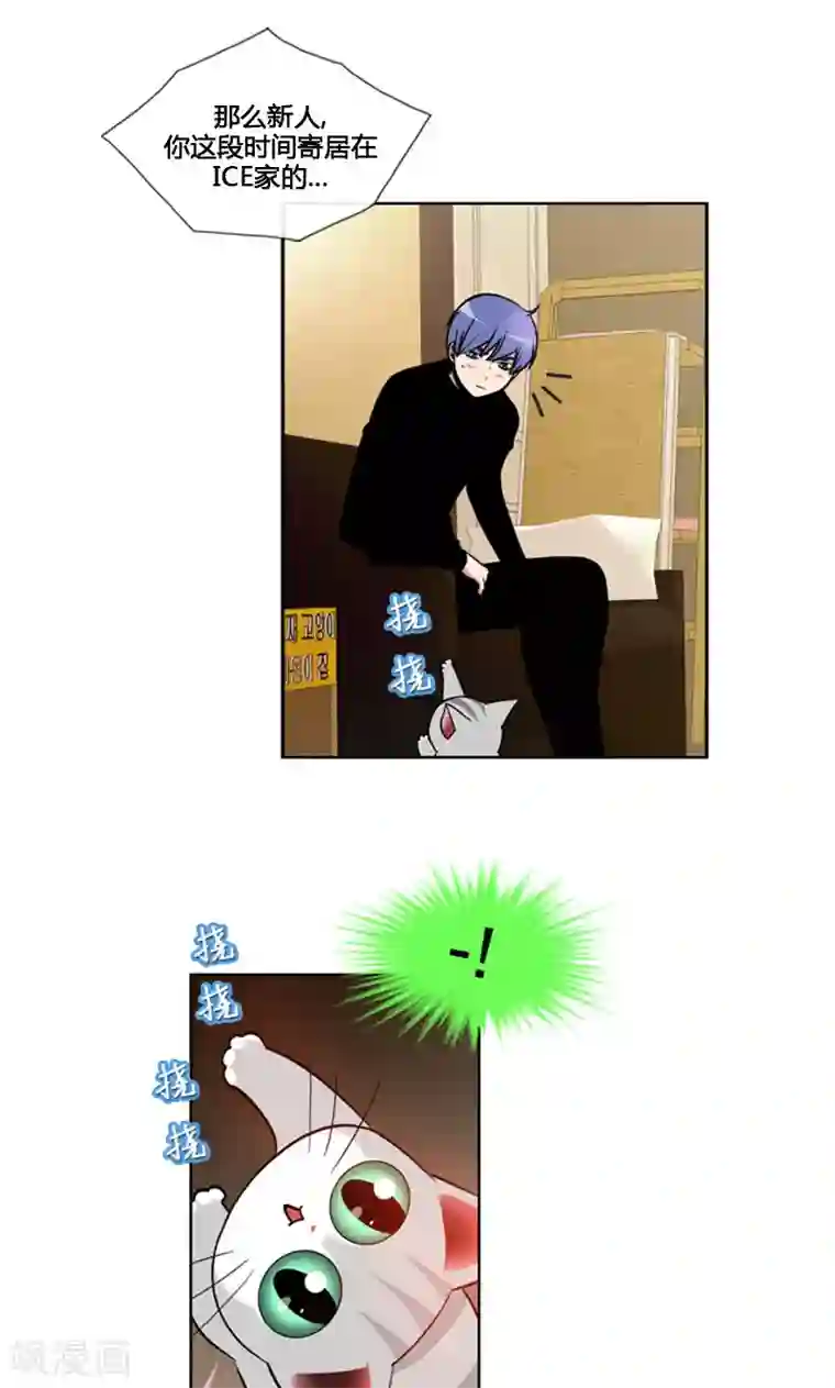 ICE-Cold要员的捡猫事件第94话