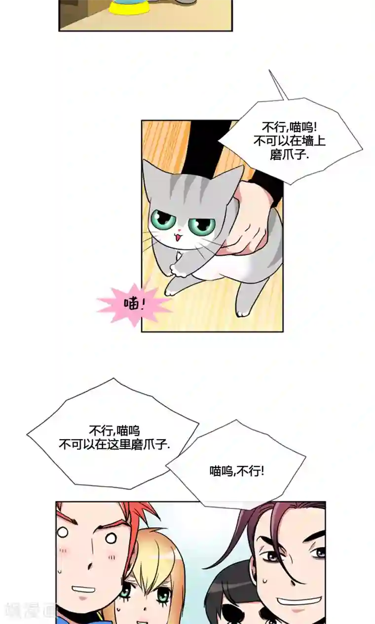 ICE-Cold要员的捡猫事件第94话