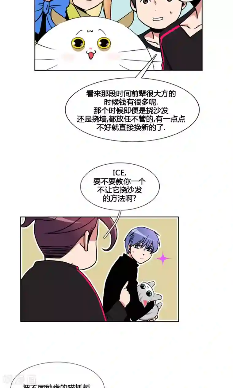 ICE-Cold要员的捡猫事件第94话