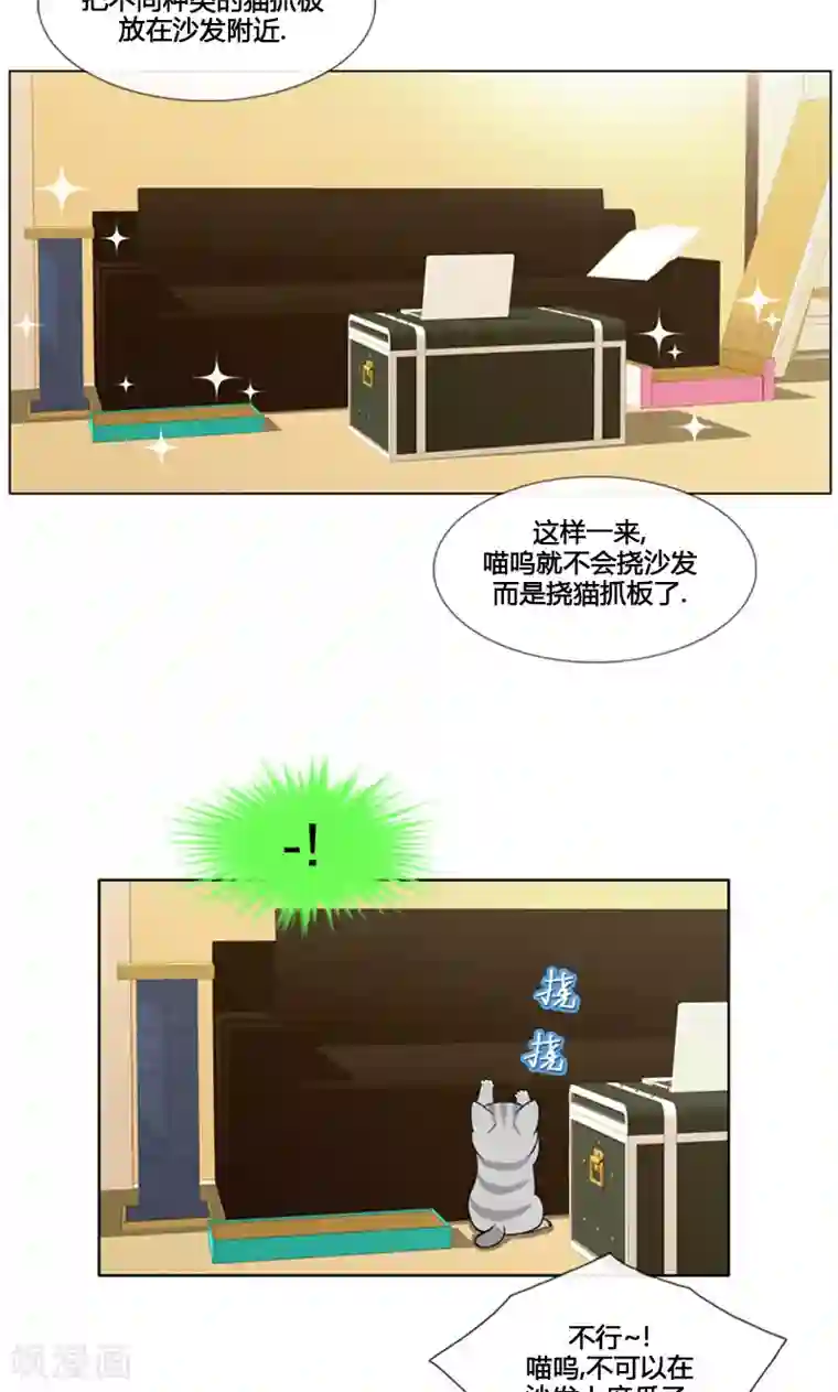 ICE-Cold要员的捡猫事件第94话