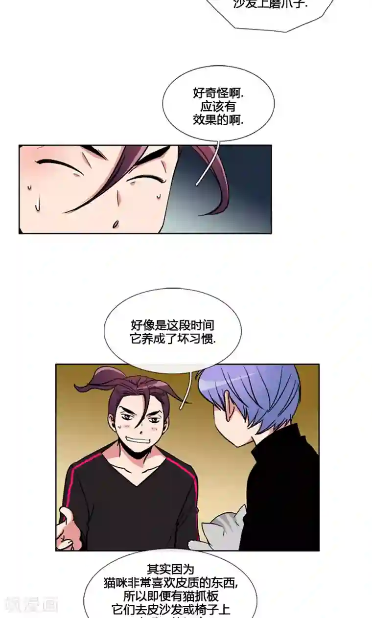 ICE-Cold要员的捡猫事件第94话