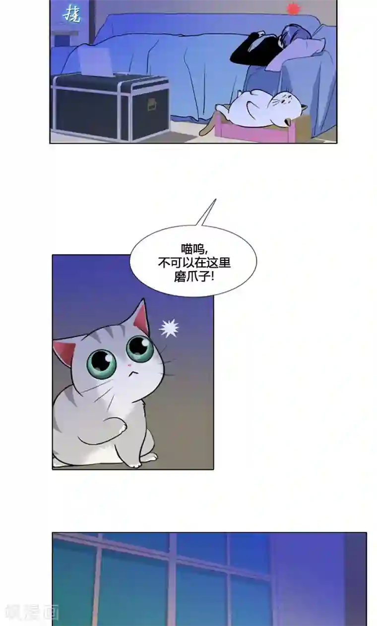 ICE-Cold要员的捡猫事件第94话