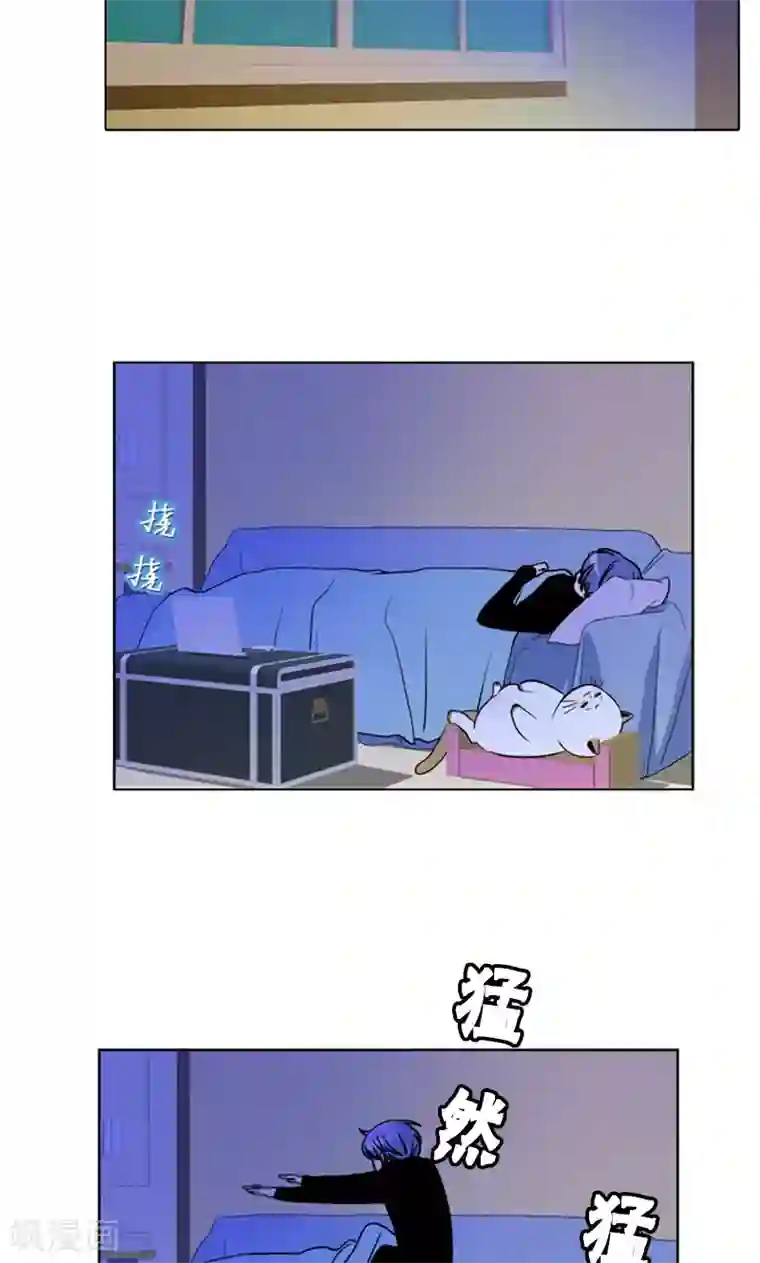 ICE-Cold要员的捡猫事件第94话