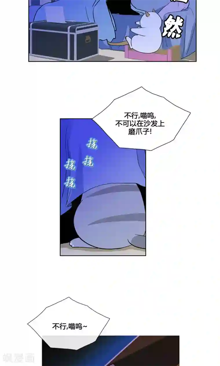 ICE-Cold要员的捡猫事件第94话