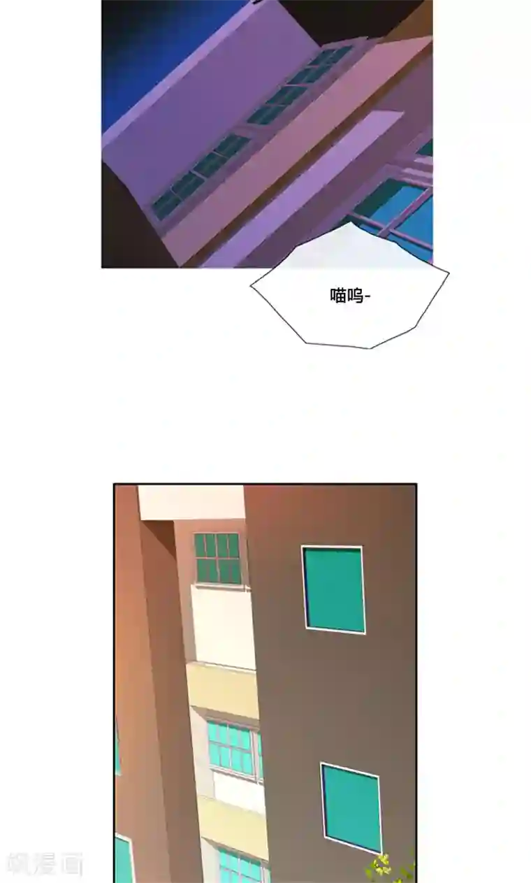 ICE-Cold要员的捡猫事件第94话