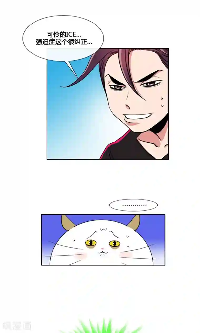 ICE-Cold要员的捡猫事件第94话