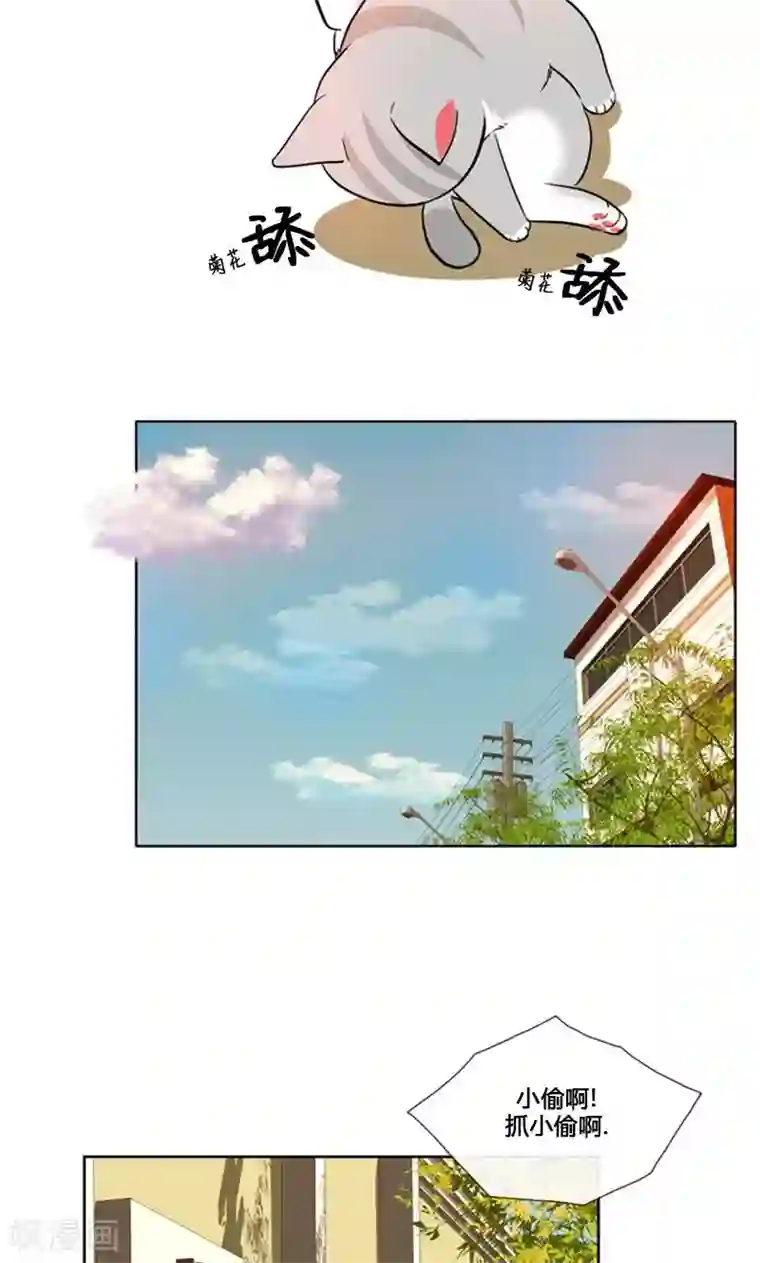 ICE-Cold要员的捡猫事件第95话