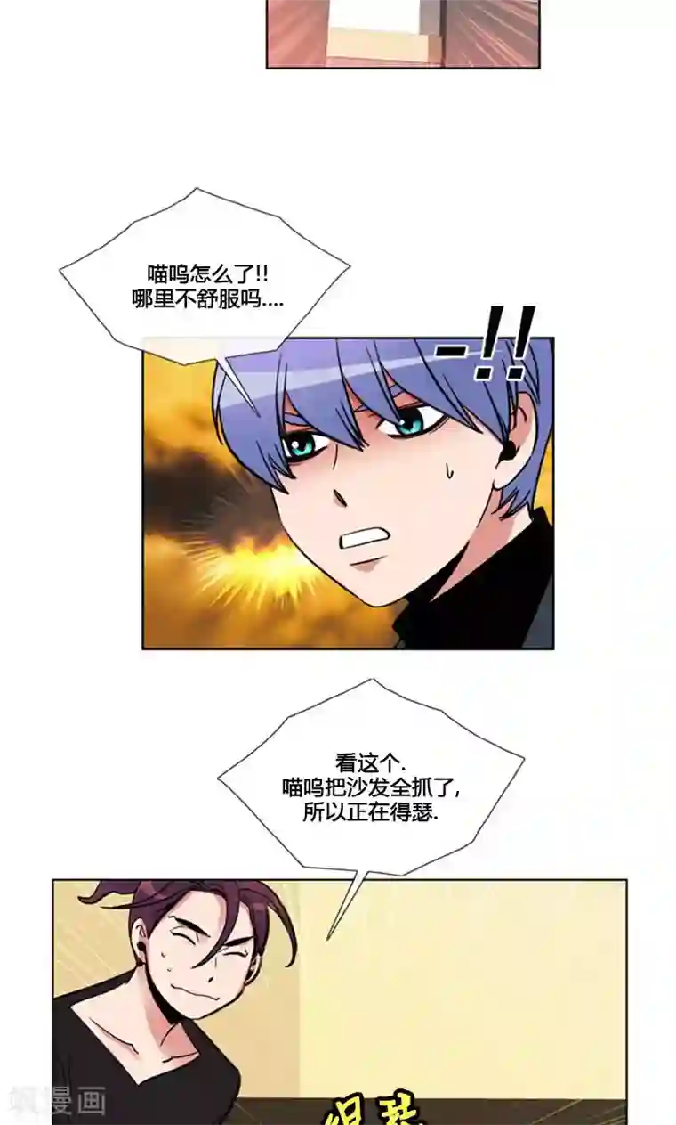 ICE-Cold要员的捡猫事件第95话