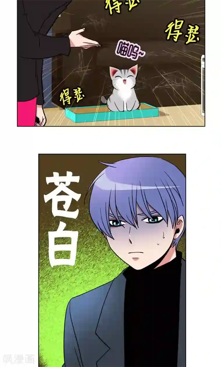 ICE-Cold要员的捡猫事件第95话