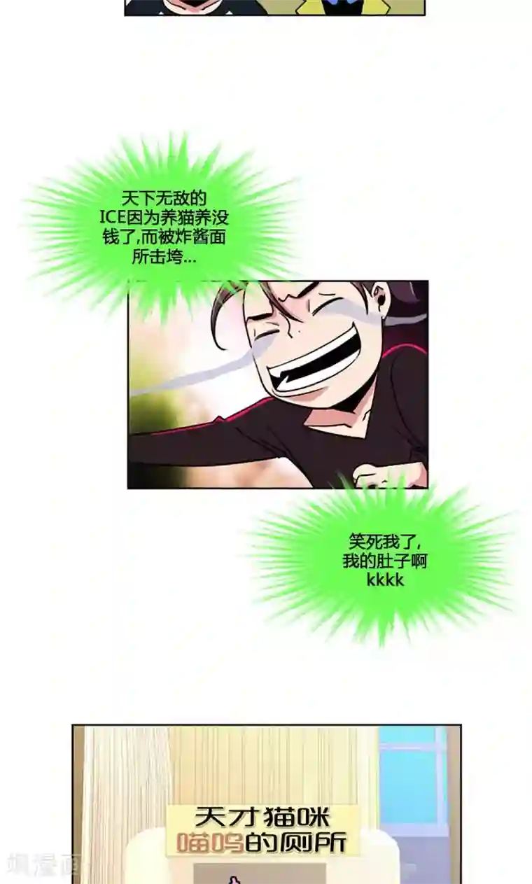 ICE-Cold要员的捡猫事件第95话