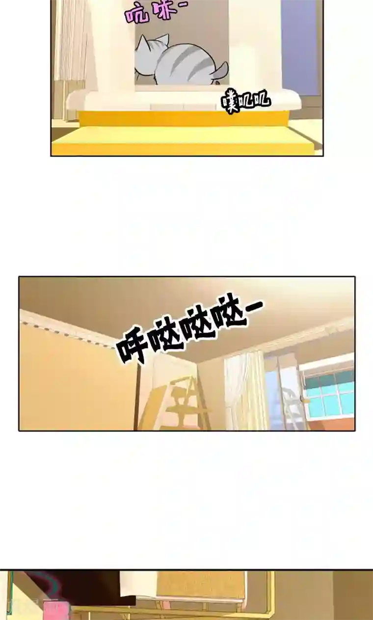 ICE-Cold要员的捡猫事件第95话