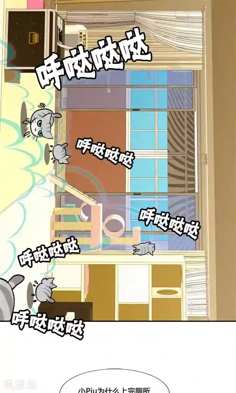 ICE-Cold要员的捡猫事件第95话