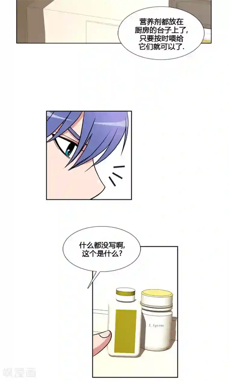 ICE-Cold要员的捡猫事件第96话