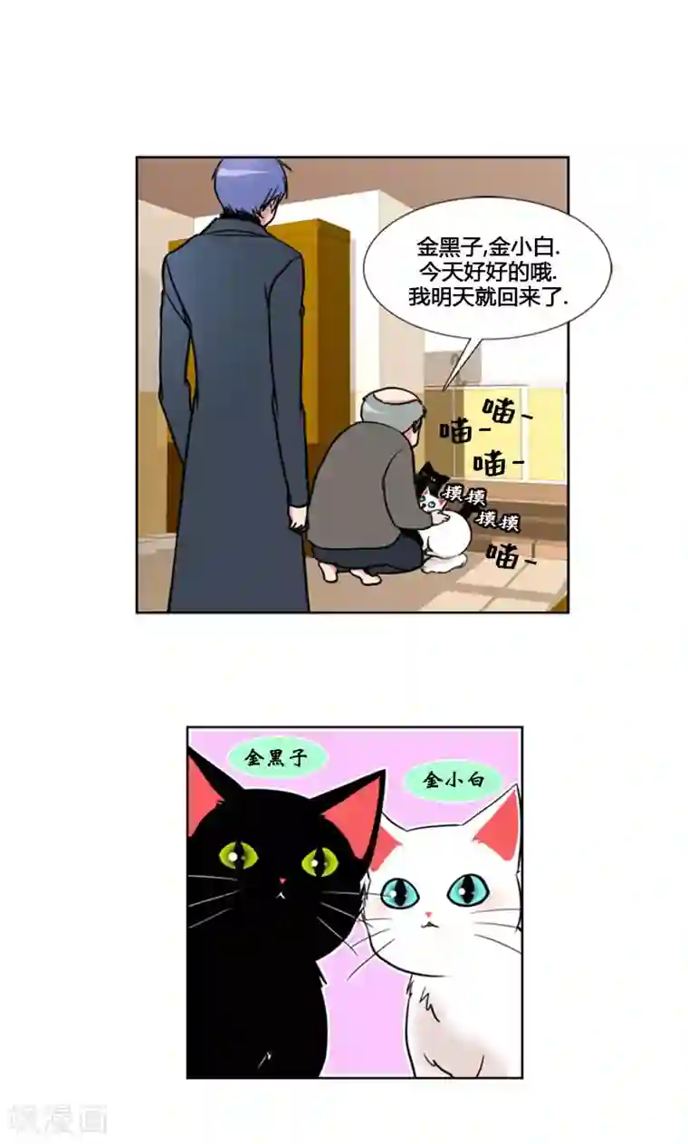 ICE-Cold要员的捡猫事件第96话