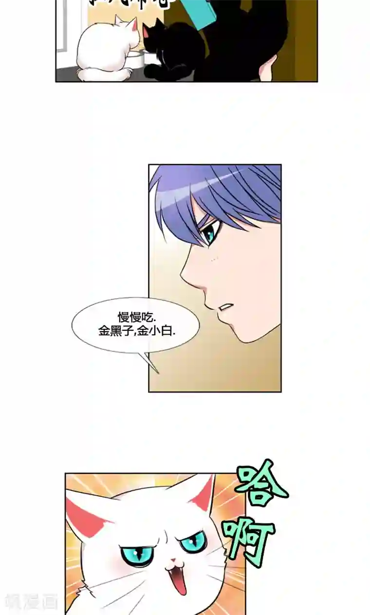 ICE-Cold要员的捡猫事件第96话