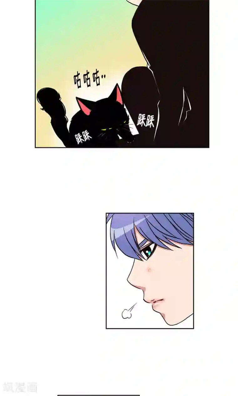 ICE-Cold要员的捡猫事件第96话