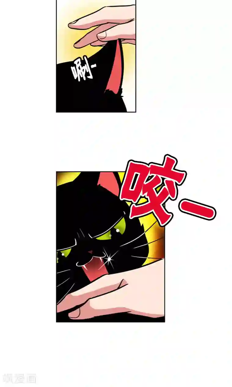 ICE-Cold要员的捡猫事件第96话