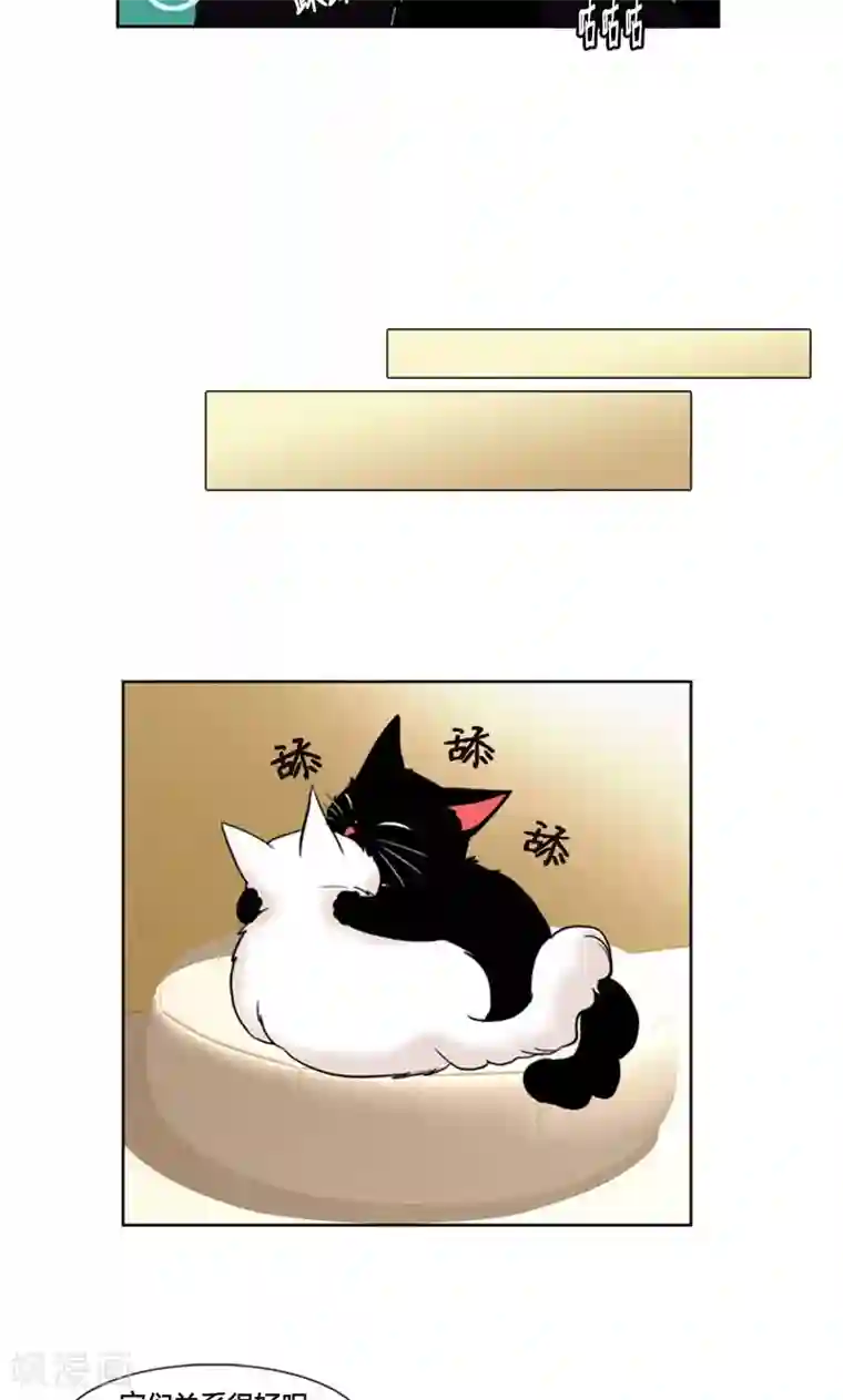 ICE-Cold要员的捡猫事件第96话