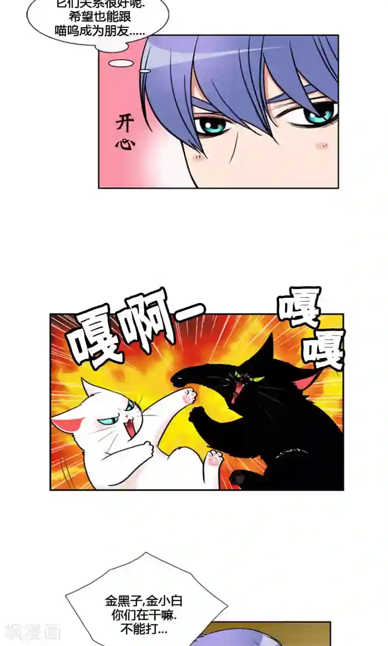 ICE-Cold要员的捡猫事件第96话