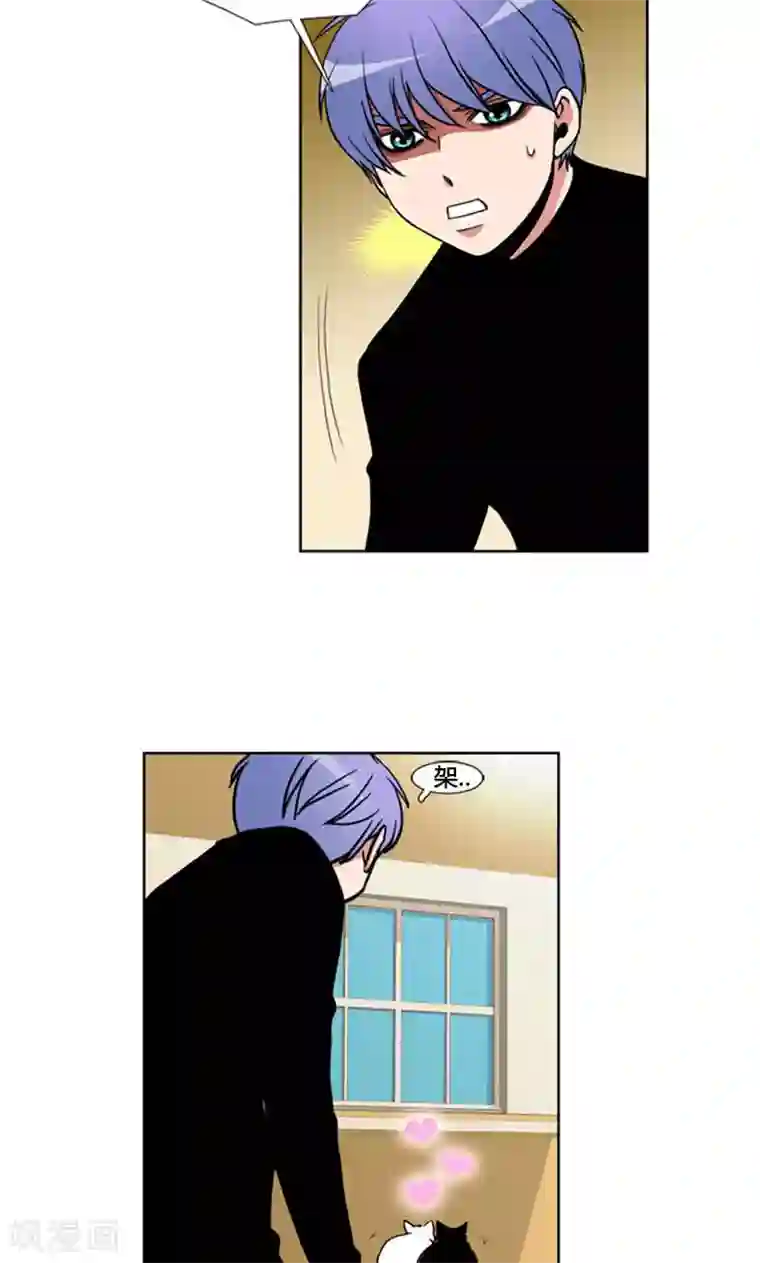 ICE-Cold要员的捡猫事件第96话