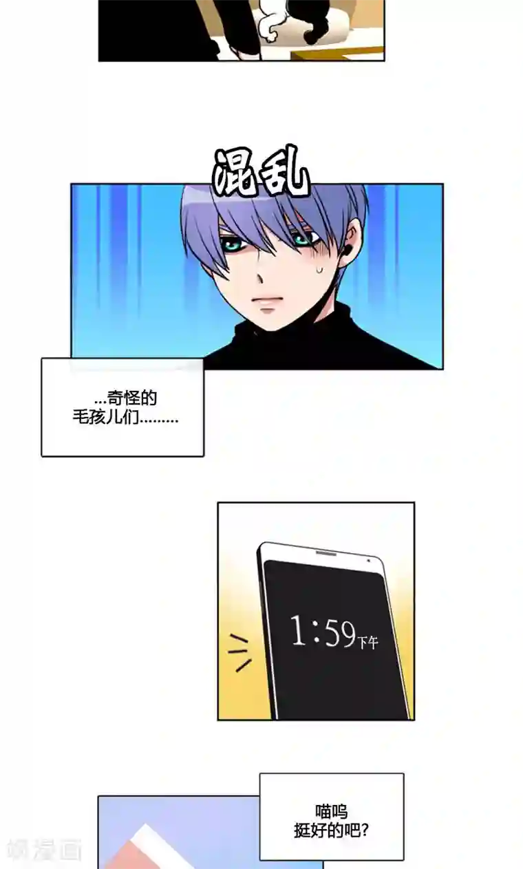 ICE-Cold要员的捡猫事件第96话