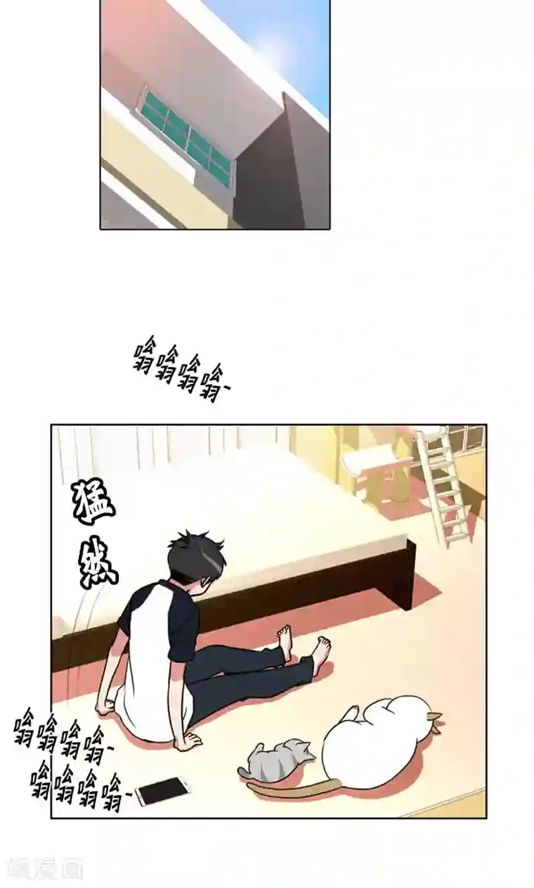 ICE-Cold要员的捡猫事件第96话