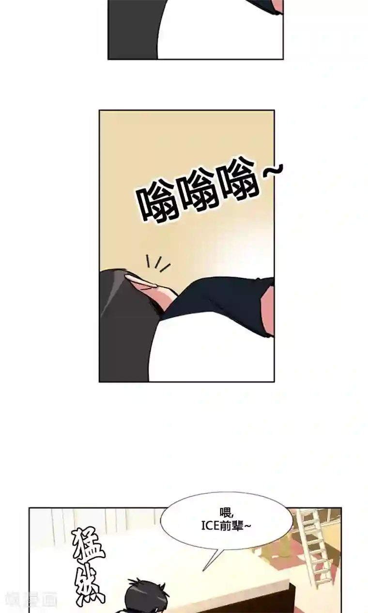 ICE-Cold要员的捡猫事件第96话