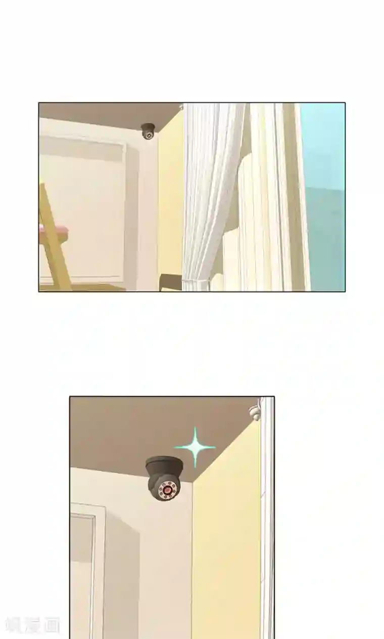 ICE-Cold要员的捡猫事件第96话