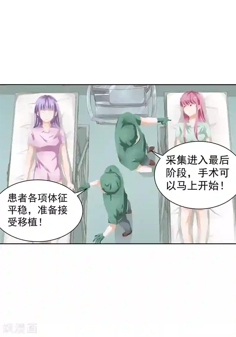 总裁的追妻实录第38话