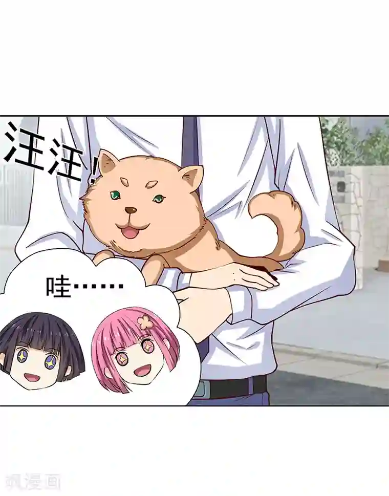 总裁的追妻实录第47话