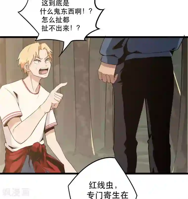 虫岭怪谈第4话 不是蛇