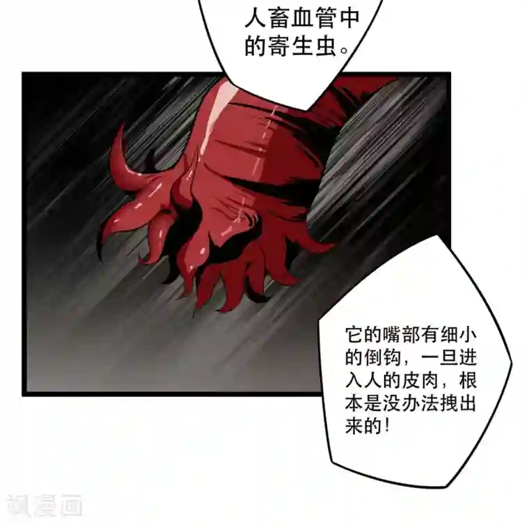 虫岭怪谈第4话 不是蛇