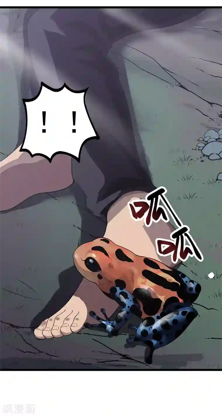 虫岭怪谈第15话 五彩蟾蜍